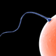 Illustration for article titled Zygotes Arent Entitled to Dead Parents Benefits, Says Most Twilight Zone-y Supreme Court Ruling Ever